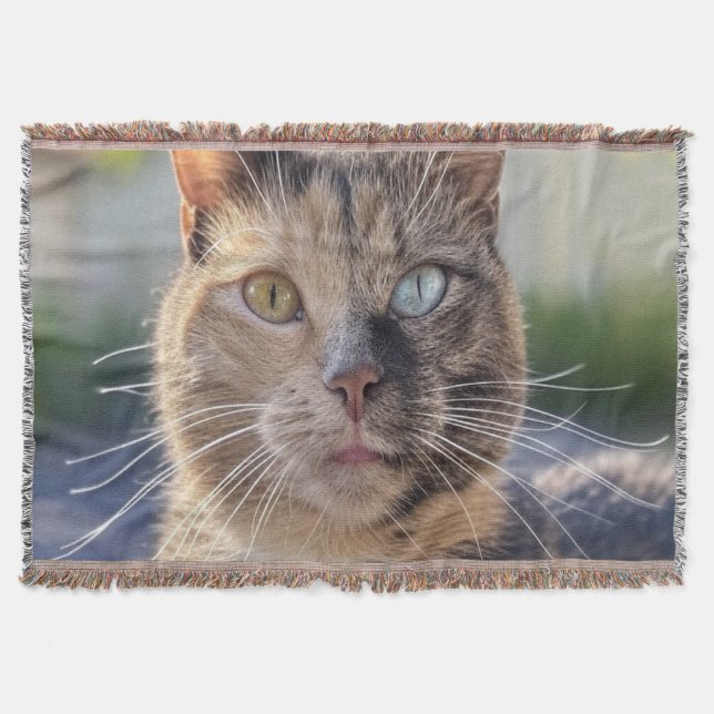 Lägg till kattfoto anpassa filt (Framsidan)