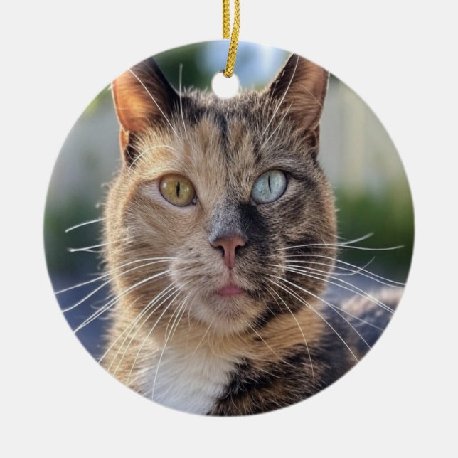 Lägg till kattfoto anpassa julgransprydnad keramik (Framsidan)