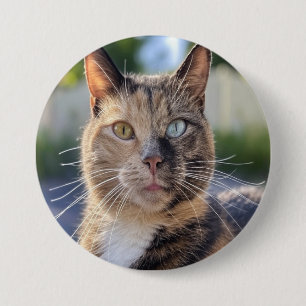 Lägg till kattfoto anpassa knapp