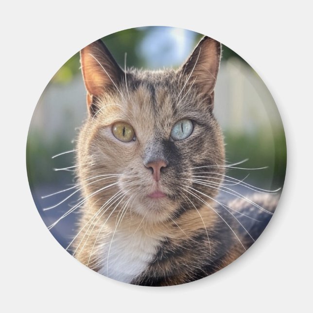 Lägg till kattfoto anpassa magnet (Framsidan)