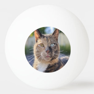 Lägg till kattfoto anpassa pingisboll