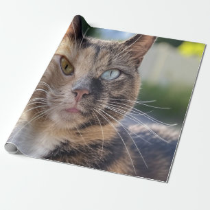 Lägg till kattfoto Anpassa Presentpapper