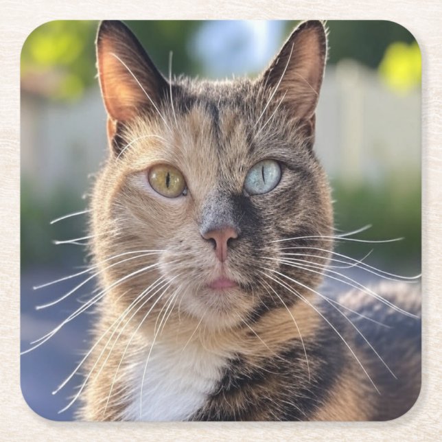 Lägg till kattfoto anpassa underlägg papper kvadrat (Framsidan)