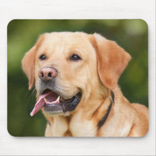 Lägg till Pet Hund Photo Personlig Musmatta