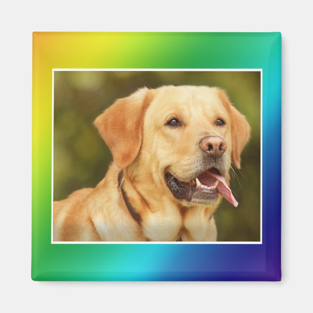 LÄGG TILL PETS PHOTO MAGNET (Framsidan)