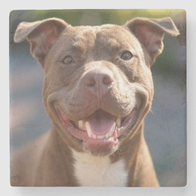 Lägg till Pit Bull Photo Customize Stenunderlägg (Framsidan)