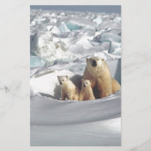 Lägg till SLOGAN i Spara Arktis Polar Bears Planet