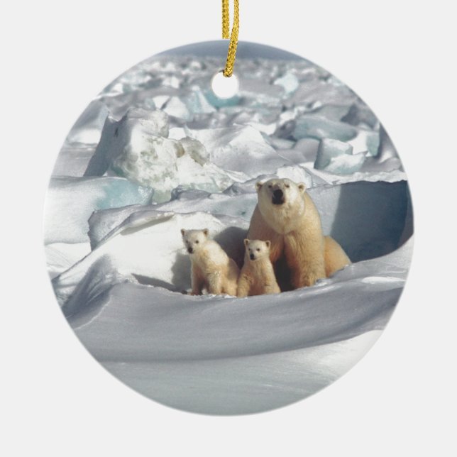 Lägg till SLOGAN i Spara Arktis Polar Bears Planet Julgransprydnad Keramik (Framsidan)