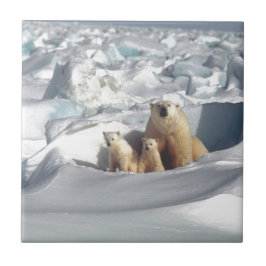 Lägg till SLOGAN i Spara Arktis Polar Bears Planet Kakelplatta