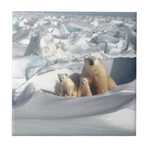 Lägg till SLOGAN i Spara Arktis Polar Bears Planet Kakelplatta