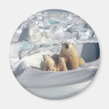 Lägg till SLOGAN i Spara Arktis Polar Bears Planet