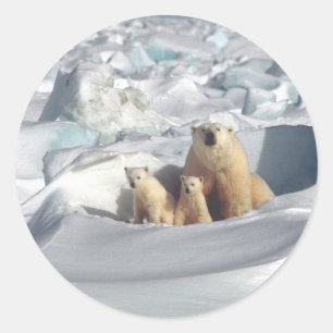 Lägg till SLOGAN i Spara Arktis Polar Bears Planet Runt Klistermärke