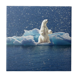 Lägg till SLOGAN i Spara Polar Bears Arktis Planet Kakelplatta
