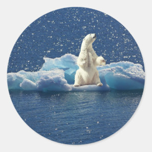 Lägg till SLOGAN i Spara Polar Bears Arktis Planet Runt Klistermärke