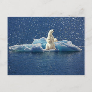 Lägg till SLOGAN i Spara Polar Bears Arktis Planet Vykort