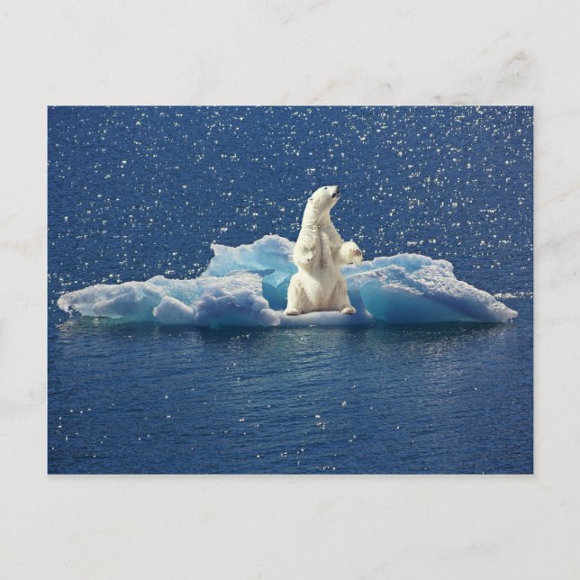 Lägg till SLOGAN i Spara Polar Bears Arktis Planet Vykort (Framsida)