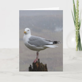 Lägg till textkort för Fiskmås Hälsning Kort