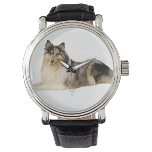 lägga för collie för blåttmerlebuse armbandsur