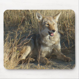 Lägga för prärievarg R18 Musmatta