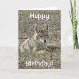 Lägga för prärievarg R22 Kort