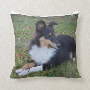 lägga för svart vit för shetshp solbränt mycke kudde