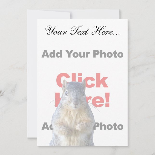 Lägga till en ekorreAnpassningsbar (Framsida)