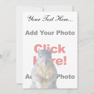 Lägga till en ekorreAnpassningsbar