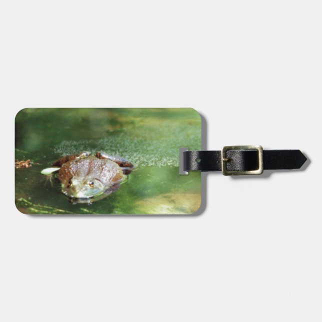 Läggägg av honkön bagagebricka (Horisontell Framsida)