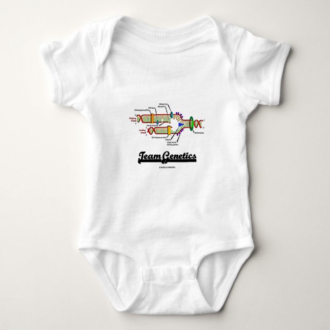 Laggenetik (DNA-replicationen) Tee (Framsida)