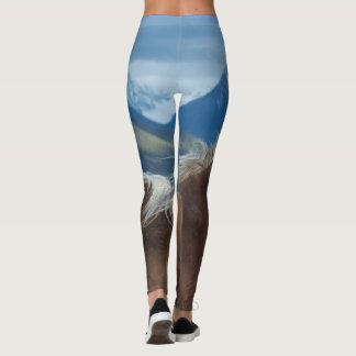 Laggningsmannar och berg leggings