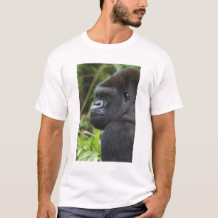 Låglänta västlig gorilla, gorilla i fångenskap tröja