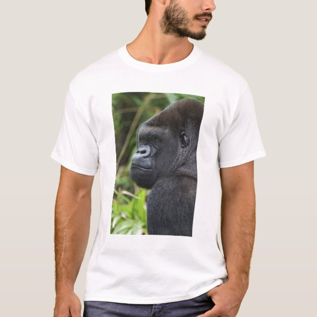 Låglänta västlig gorilla, gorilla i fångenskap tröja (Framsida)