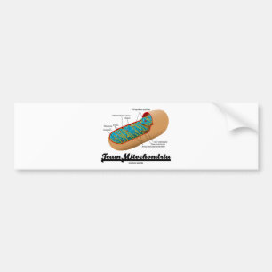 LagMitochondria (den Mitochondrion humorn) Bildekal