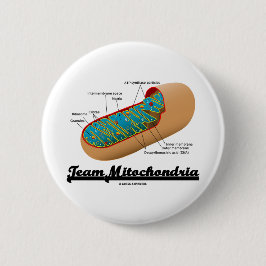 LagMitochondria (den Mitochondrion humorn) Knapp
