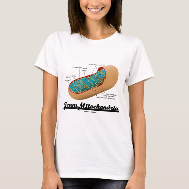 LagMitochondria (den Mitochondrion humorn) Tee (Framsida)