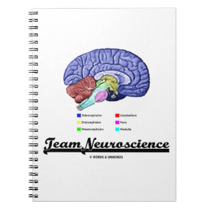 LagNeuroscience (hjärnanatomiinställningen) Anteckningsbok