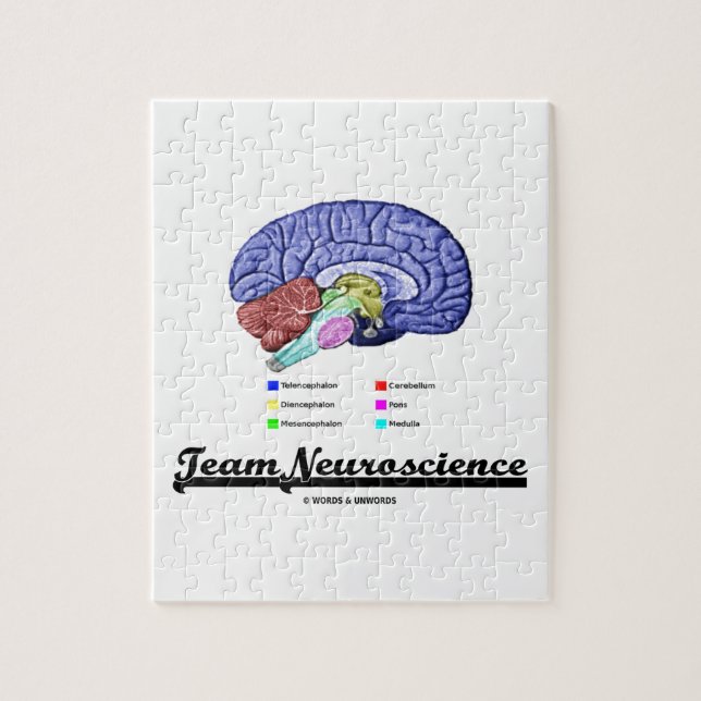 LagNeuroscience (hjärnanatomiinställningen) Pussel (Vertikal)