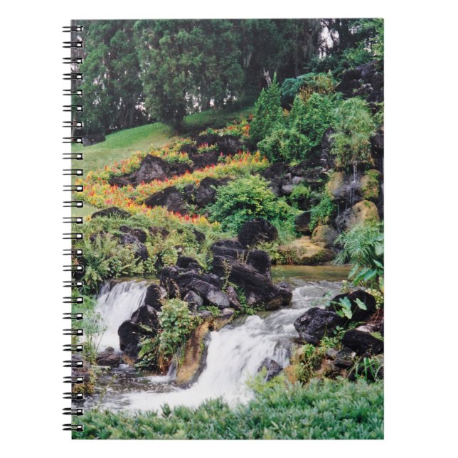 Lagning i Vatten Anteckningsbok Med Spiral (Framsidan)