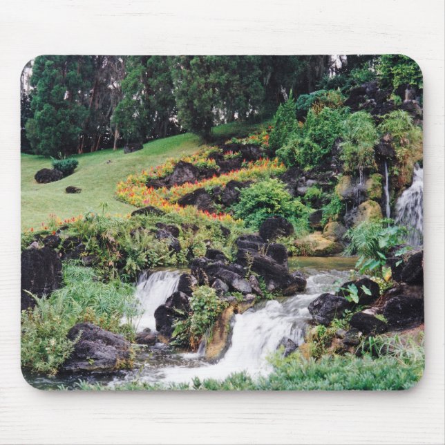 Lagning i Vatten Musmatta (Framsidan)