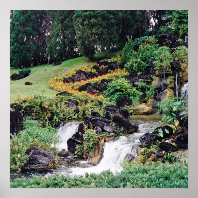 Lagning i Vatten Poster (Framsidan)