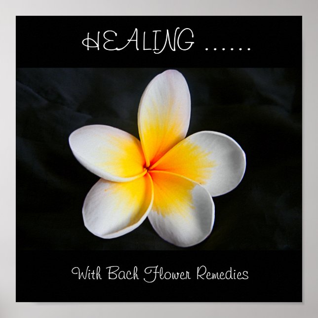 Lagning med bockblomstermedel poster (Framsidan)