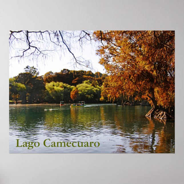 Lago Camecuaro Poster (Framsidan)