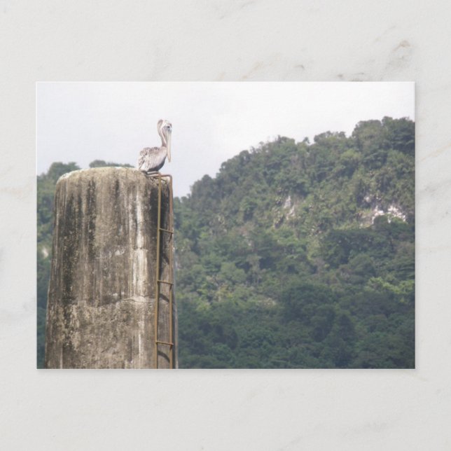 Lago dos Bocas Utuado Puerto Rico Vykort (Framsida)