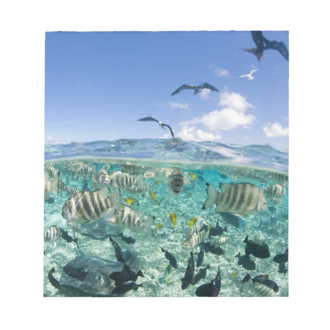 Lagoon safari resa med stingrockor anteckningsblock (Framsida)