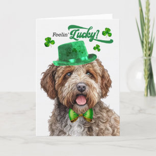Lagotti Hund Feelin' Lucky St patrick's day Helgkort