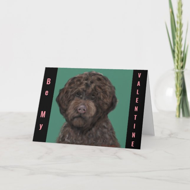 Lagotti Romagnolo Kort (Framsida)