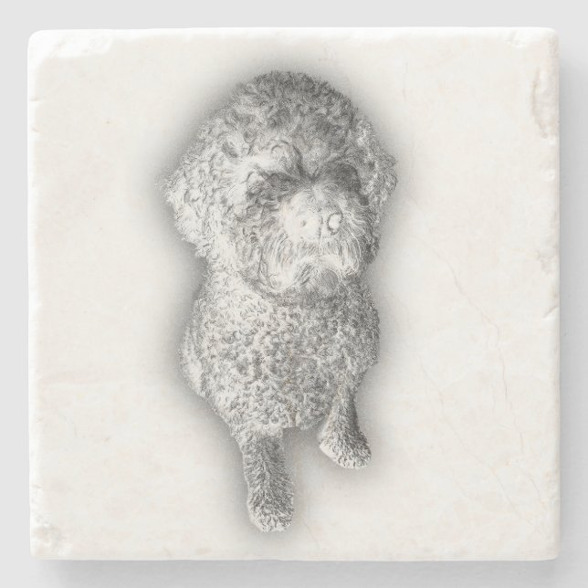 Lagotto Lines – Artisan Coaster for the Curly-Coat Stenunderlägg (Framsidan)
