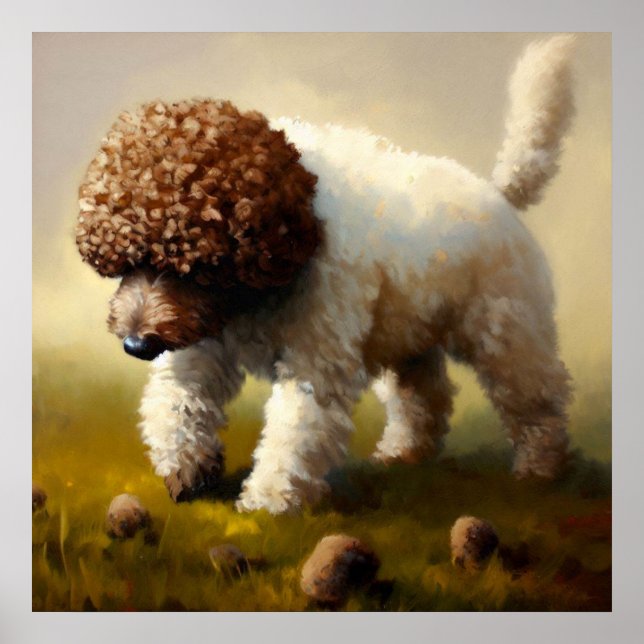 Lagotto Romagnolo Hund Poster (Framsidan)