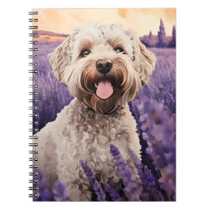 Lagotto Romagnolo i Lavender fält Anteckningsbok