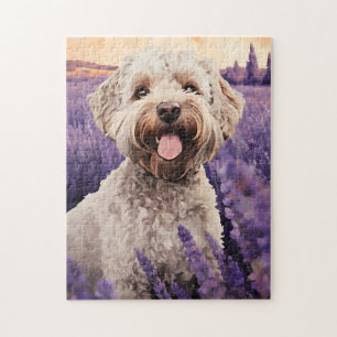 Lagotto Romagnolo i Lavender fält Pussel